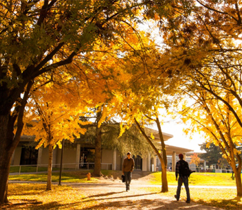 Majors & Programs | California State University Stanislaus